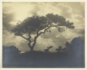 Zonder Titel (Bewolkt Landschap met Boom)
