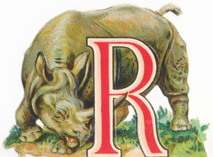 A: Neushoorn