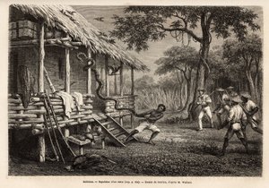 Een python kwam de ruimte van de reiziger en verteller binnen, terwijl alle aanwezigen zich afzonderden om zichzelf te beschermen, wordt de slang verdreven door een van de bedienden die, na te hebben gefaald met de lasso, hem bij de staart greep. Gravure t door Unknown artist
