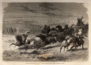 Een rodeo in Lauramarca (Laag-Peru), de vangst van wilde paarden, voordat ze gemerkt worden met de initialen van de eigenaar van de regio, beschouwd als een compleet spektakel, veel toeschouwers verzameld. Gravure ter illustratie van de reis in de valleien door Unknown artist