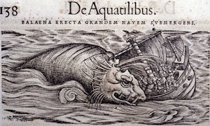 Een walvis vernietigt de romp van een boot en veroorzaakt het zinken. Gravure in Historia Animalium door Conrad Gesner (1516 - 1565), Tiguri door Unknown artist