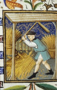 Allegorische voorstelling van augustus. Een boer die tarwe slaat. Miniatuur van een 14e-eeuws manuscript.