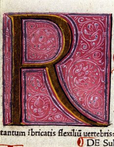 Alfabet: miniatuurletter R