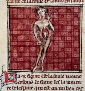 Anatomische figuren: mannelijke en vrouwelijke romp, open buik (detail van man)