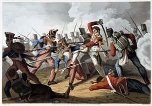 Slag om de Pyreneeën - in 