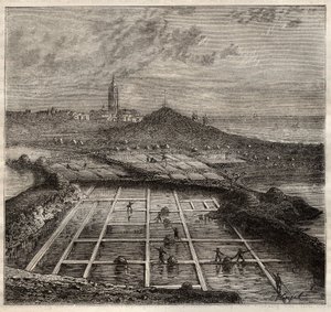 Batz sur Mer, Bretagne, Frankrijk - Zoutproductie. Uitzicht op een zoutmoeras in West-Frankrijk - gravure in 