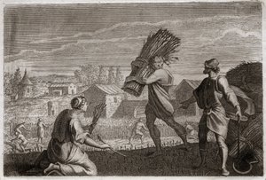 Bijbel van Royaumont, Oude Testament: Ruth volgt haar schoonmoeder Naomi naar het land van Juda en oogst de tarwevelden van Boaz. Illustratie uit 1811 door Unknown artist