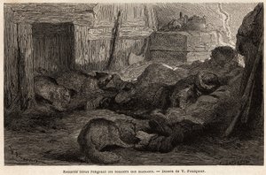 Blauwe vossen knagen aan de schoenen van slapende zeelieden in het toevluchtsoord van het observatiestation, tekening door V.Foulquier, ter illustratie van de Spitzberg door Unknown artist