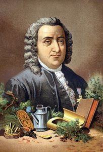 Carl von Linné, Zweedse natuuronderzoeker en schrijver (1707 - 1778) naar 