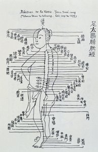 Chinese acupunctuur: de meridiaan van de blaas door Unknown artist