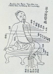 Chinese acupunctuur: de meridiaan van de nieren