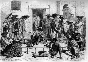 Hanenvechten in Zuid-Amerika. Gravure in 