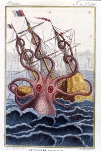 Kolossale octopus (octopus, reuzeninktvis, kraken) valt een schip aan - gravure uit het boek van Pierre Denys-Montfort 