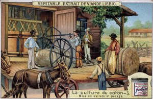 Katoenteelt: Balen en Wegen (VS) Liebig chromolithografie van de 19e eeuw