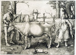 Koe en zuivel in Nederland