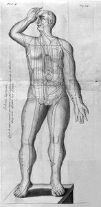 De Acupunctura door W. Ten Rhijne. Londen 1683. Eerste westerse tekst over acupunctuur
