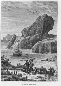 Ontdekkingen en verkenningen: de eilanden van Kerguelen - in 