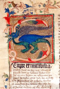 Draak Gedecoreerde Initiaal (detail van een 14e-eeuws manuscript) door Unknown artist
