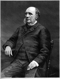 Hertog Louis Charles Decazes (1819-1886), Franse politicus, Minister van Buitenlandse Zaken van 1873 tot 1877. door Unknown artist