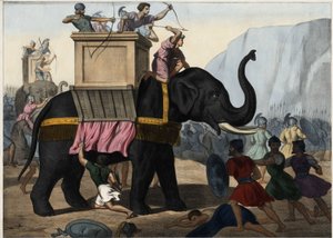 Eleazar Macchabee (Maccabee of Macabee) vecht samen met de Joden tegen de onderdrukking van de Seleuciden. Anonieme gravure uit het midden van de 19e eeuw.