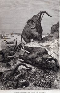 Olifanten beklimmen de oever van een rivier, in verslag van een expeditie naar Centraal-Afrika in opdracht van Sir Samuel White Baker, 