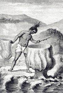 Gravure die een variëteit van spons voorstelt genaamd Neptunus