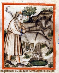 Esa graast ezels - de Pentateuch. Miniatuur uit codex 212 (of padovano codice of Bijbel van Padua) 1390-1400 Rovigo, Accademia dei Concordi