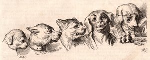 Evolutie van een hond naar een menselijke vorm