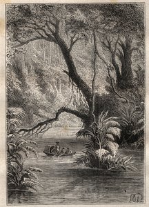 Expeditie naar Amerika (1799-1804) door Alexander von Humboldt (1769-1859) en Aime Bonpland (1773-1858): de ontdekkingsreizigers dalen de Orenoque af, omringd door de gigantische bomen van het Amazonewoud (Cano Pimichin, Venezuela) - illustratie uit 