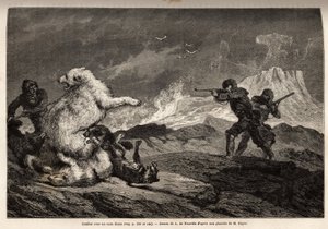 Gevecht met een ijsbeer die haar jong beschermt, de roedel honden valt haar aan en de jagers, gewapend met geweren, wachten op het juiste moment om haar neer te schieten. Gravure ter illustratie van de reis naar de vrije zee van de Noordpool, door dokter H door Unknown artist