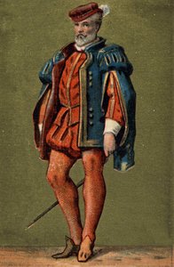 Gaspard de Coligny (1519-1572), Admiraal van Frankrijk.