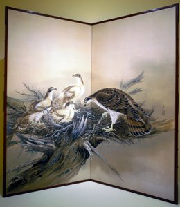 Haviken, Nest en Gebroken Boom door Unknown artist