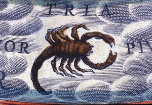 Horoscoop: sterrenbeeld Schorpioen door Unknown artist