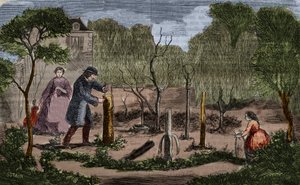 Tuinbouw: belangrijkste methoden van plantentransplantatie. Gravure uit 1860