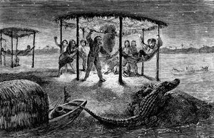 Illustratie "De naturalist op de rivier de Amazone" door Henry Walter Bates (gravure)