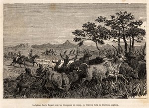 Inheemse baris (bevolking van Soedan) wapens van bogen en pijlen, op de vlucht met de kuddes die door Sir Baker in beslag zijn genomen, om te voorkomen dat ze andere stammen in de regio aanvallen, om ze te plunderen en tot slaaf te maken, een gravure die e