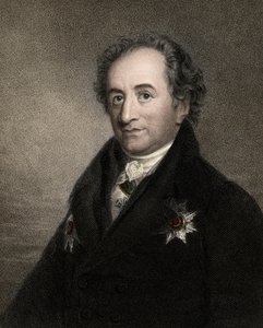 Johann Wolfgang von Goethe 1749-1832 - gravure - 19e eeuw