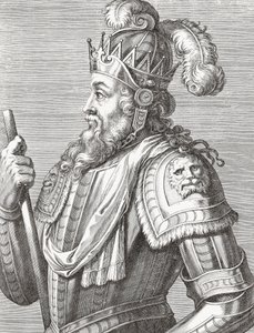 Koning Afonso V van Portugal. Portret.