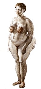 De Hottentot Venus, vrouw van het Bochiman-ras, gravure uit 1815.