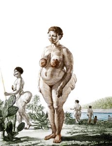 De Hottentot Venus, vrouw van het Bochiman-ras, gravure uit 1815. door Unknown artist