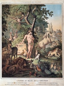 De mens in het midden van de Schepping - in "Histoire Sainte", ed. Hachette door Unknown artist
