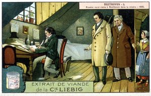 Liebig chromolithografie door Unknown artist