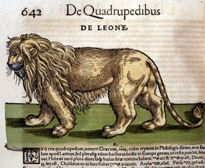 Leeuw na de Historia Animalium door Conrad Gesner, Tiguri 1560. Biblioteca nazionale Braidense. Milaan door Unknown artist