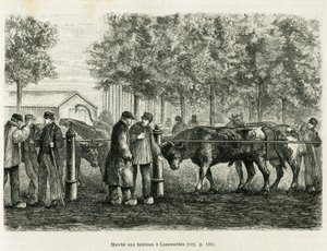 Vee dat loopt in Leeuwarden (Nederland). Gravure ter illustratie van het verhaal La Frise, gebaseerd op een relatie van een Nederlandse krant, in le tour du monde 1886, onder leiding van Edouard Charton (1807-1890), Hachette, Parijs. door Unknown artist