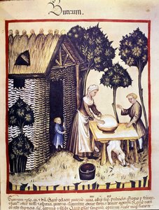 Boterproductie. Illustratie uit de melk van geneeskunde en diëtetiek "Tacuinum sanitatis" door Unknown artist