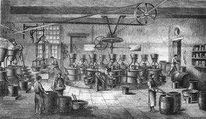 Fabricage van mosterd en conserven bij Louit frères in Bordeaux. Gravure uit 1865