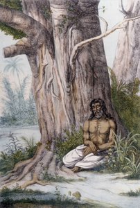 Meditatie aan de voet van een boom, India door Unknown artist