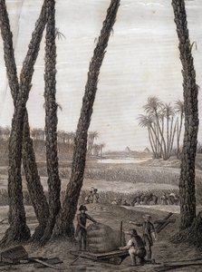 Memphis, uitzicht op de ruïnes (wetenschappers en werkende kunstenaars) - in 