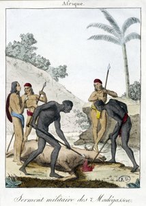 Militaire eed van de inwoners van Madagaskar (slachting van een os) - gravure 1811 door Unknown artist