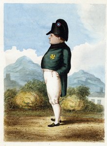 Napoleon Bonaparte op het eiland Sint-Helena